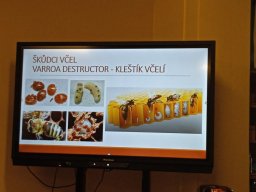 medove snidane v ms14